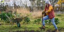 Efficient Garden Clearance Companies in Croydon Provide the best