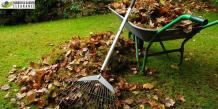 What Consider Hiring Professional Garden Clearance In Merton
