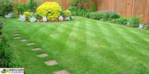 Hiring a garden clearance company in Merton can be beneficial to your