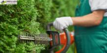 What Does A Garden Clearance Service In Merton Consist Of?