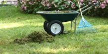 Renovate Garden with Garden Clearance Services in Merton