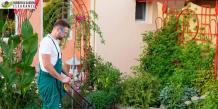 How Garden Clearance Services in Merton Can Help to Get Your
