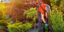 What Affects the Cost of Garden Clearance Services in Sutton?
