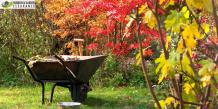 Garden Clearance Sutton: Why is garden Clearance important?