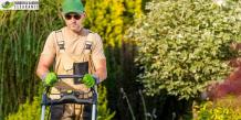 Reasons to Hire a Professional Garden Clearance in Sutton