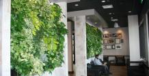 Artificial Garden Supplier in Delhi
