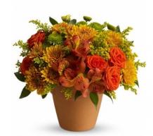 Online Flowers delivery in Australia | Order till 5 pm for Same Day Delivery