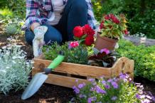 Common Mistakes With Gardening services in Vancouver