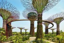 Gardens by the Bay in Singapore