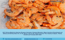 GCC Shrimp Market 2021: Industry Analysis, Price Trends, Growth, Opportunities and Forecast till 2026 &#8211; Syndicated Analytics &#8211; The Manomet Current