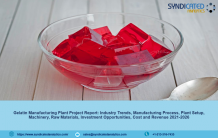Gelatin Manufacturing Plant Project Report 2021, Industry Trends, Business Plan, Machinery Requirements, Raw Materials, Cost and Revenue -2026 - Publicist Records