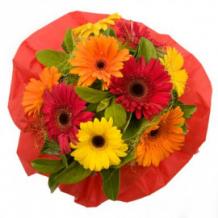 Flower Delivery in Delhi | Order Flower Bouquet Online in Delhi | Buy Now