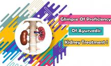 Glimpse Of Proficiency Of Ayurvedic Kidney Treatment