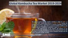 Kombucha Tea Market Size, Share, Price Trends, Growth, Report 2019-2024