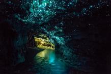 10 Dazzling Glowworm Cave Images - Fontica Blog