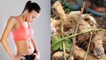 Glucomannan: Real Confessions About This Prebiotic Appetite Suppression