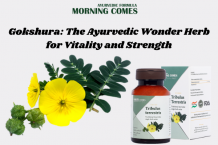 Gokshura: The Ayurvedic Wonder Herb for Vitality and Strength.