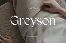 Greyson Font Free Download OTF TTF | DLFreeFont