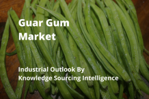 guar gum market