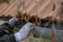 Maintain Your Home with Gutter Cleaning in Cobham