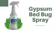 Gypsum Bed Bug Spray by MDX Concepts