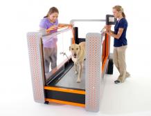 Underwater Treadmill for Dogs