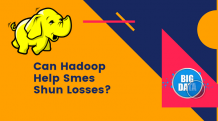 Can Hadoop Help SMEs Shun Losses? - Proche