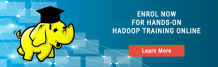 Top 5 Essential Skills Every Big Data Hadoop Expert Should Have!
