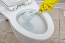 How Do You Clean Toilet Brush After Use? 