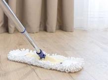 Best Carpet Cleaning Services In Stayton, OR