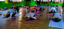 Hatha Yoga Teacher Training RYS 200 - Chandra Yoga International