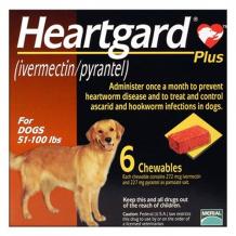  Buy Heartgard Plus Chewables For Large Dog 51-100lbs (Brown) 6 Doses