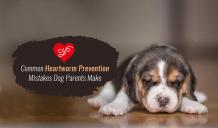 Common Heartworm Prevention Mistakes Dog Parents Makes