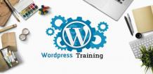 Professional Wordpress Training in Nagpur, Maharashtra