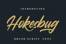 Hokesbug Font (1665316515)