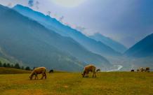 Kashmir Package Tour from Mumbai