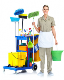 Cleaning Services Toronto Serving Etobicoke Woodbridge Brampton