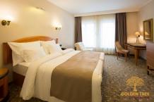 Why Choose Golden Tree Hotel for Stay