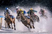 How Does a Swinger Bet Work in Horse Racing? | JeetWin Blog