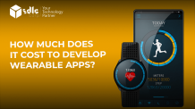 How Much Does It Cost to Develop Wearable Apps?