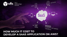 How Much It Cost to Develop a SaaS Application on AWS?