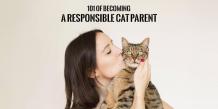 CatCare Catparentingtips Cathealth Catsafetytips Catparentsresponsibility