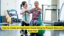 Create an Ergonomic Home Office to Avoid Neck and Back Pain - Latest Business New | Submit Blogs, Articles, and Guest Posts