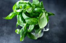 How To Freeze Basil: A Comprehensive Guide - AalikInfo