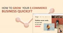 How to Grow your Ecommerce Business Quickly? - Expert Guide