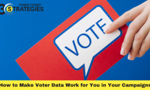 How to Make Voter Data Work for You in Your Campaigns - Wiz Article