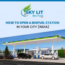 How to Open a Biofuel Station in Your City - Skylitbiofuel.com