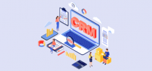 How to Embed HTML Web Resource in CRM&#039;s Entity Form