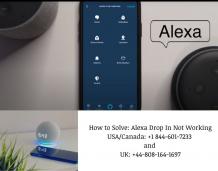 How to Fix: Alexa Drop In Not Working