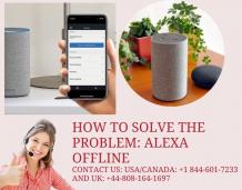 How to Solve the Problem: Alexa Offline